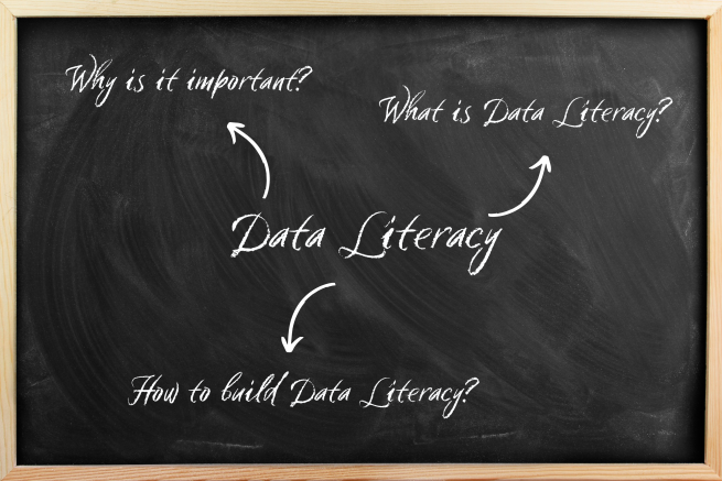 Shows the questions: What is data literacy? How do I become data literate? Why is data literacy important?