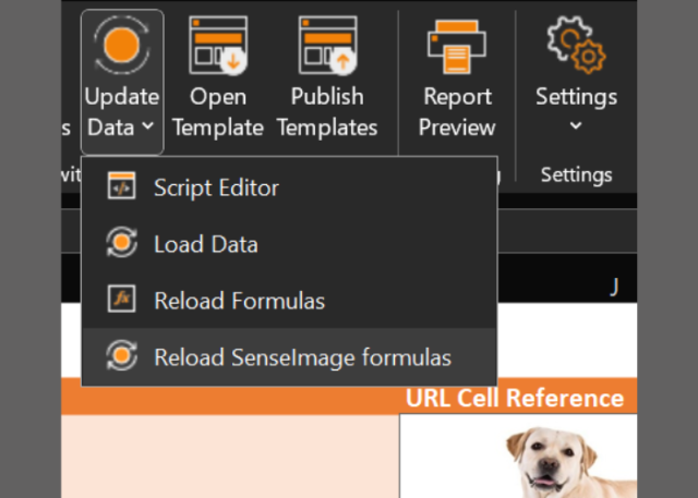 AnalyticsGate - Excel Functions - Qlik Sense Image - Bild neu laden