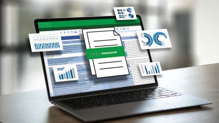 Symbolic image: spreadsheet on laptop